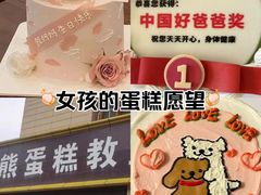 -咖咖熊蛋糕定制·蓝风车动物奶油