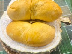 -都念榴莲·城市榴莲