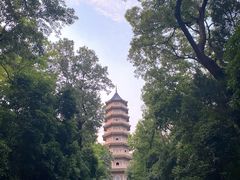 -灵谷景区