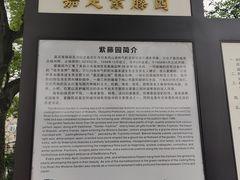 -嘉定紫藤园