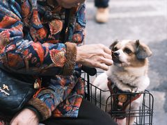 -小秋水饺(大成路总店)