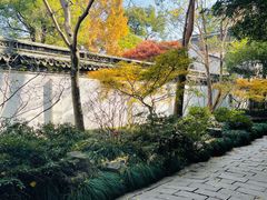 -秋霞圃