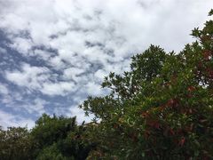 -云南师范大学(一二一西南联大校区)