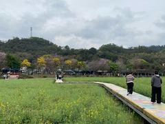 -红山村