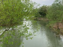 -梁鸿国家湿地公园