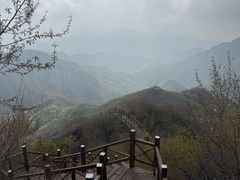-大岭沟猕猴桃谷风景区