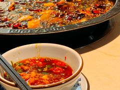 -大江美蛙鱼火锅(都江堰店)