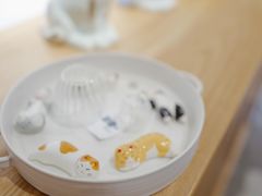 -猫里有甜