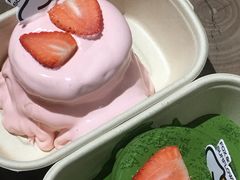 -狐狸和向日葵(北京路店)