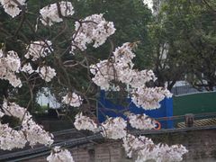 -红星桥(地铁站)