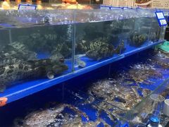 -船家渔(徐州北路店)