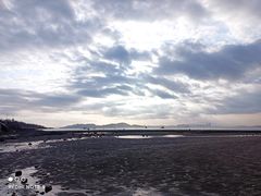 -八大关景区