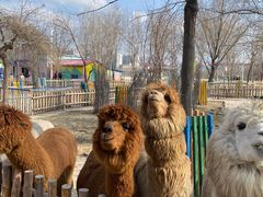 -水上乐园·欢乐世界