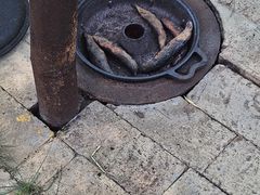 -西部长青自然儿童乐园