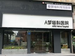 -御宝贝·A梦猫科宠物医院(国际猫友好医院)
