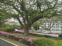 -新加坡乌节希尔顿酒店 (SG Clean)