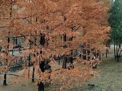-白水寺森林公园
