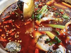 -曾老幺鱼庄(龙华商厦店)