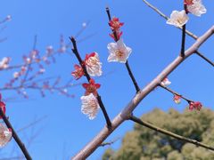 -石湖景区