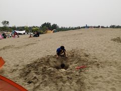 -东郊湿地公园