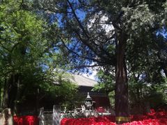 -红螺寺
