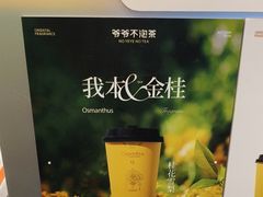 -爷爷不泡茶 NOYEYENOTEA(长沙五江天街店)