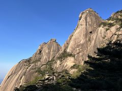 -金泰缘排骨馆(遵化路店)