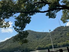 -芦茨金富饭庄·25年老字号·专做稻草鸡