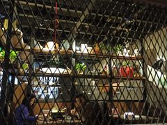 -探鱼·鲜青椒爽麻烤鱼(广州南沙万达广场店)