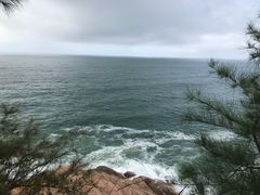 -广东惠东海龟国家级自然保护区
