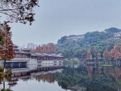 -重庆彩云湖湿地公园