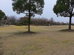 -上海长兴岛郊野公园