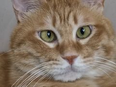 -赛百味SUBWAY(凯德mall大峡谷店)