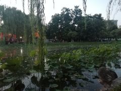 -莲湖公园
