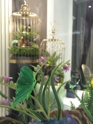 -法国安杰玛SPA会所