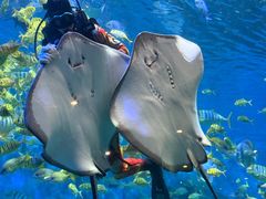 -横店影视城梦幻谷园区