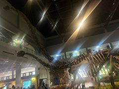 -自贡恐龙博物馆