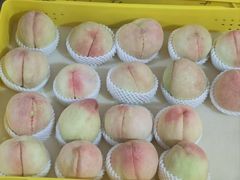 -老袁家蜜桃农场·阳山水蜜桃