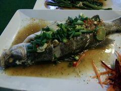 -Daddy Nimman Chiang Mai