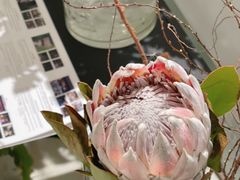 -一尺花园(安和花园店)