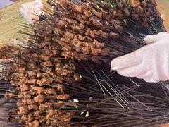 -杨婆婆烤肉(文昌阁店)