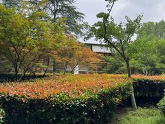 -滨湖塘西河公园