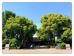 -南京中国近代史遗址博物馆(南京总统府)