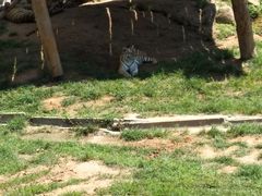 -西霞口神雕山野生动物世界