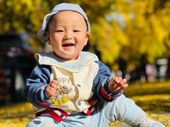 -三里屯东五街银杏大道