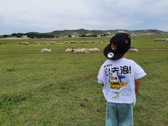 -乌兰布统草原