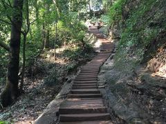 -青城山