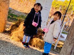 -安德鲁户外烧烤帐篷营地(马泉营店)