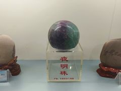 -甘肃地质博物馆