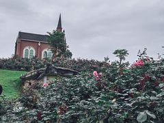 -都江堰玫瑰花溪谷